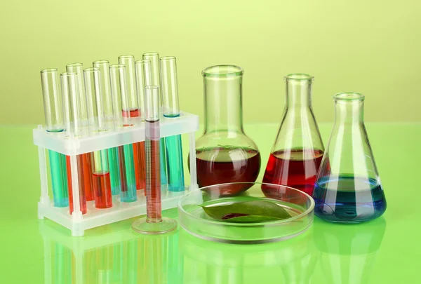 Test-tubes and green leaf tested in petri dish, on color background — Stock Photo, Image