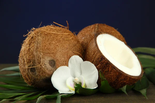 Coconuts with leaves and flower, on wooden table on blue background — Stock Photo, Image