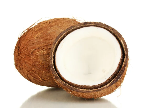 Два кокоса, изолированных на белом — стоковое фото