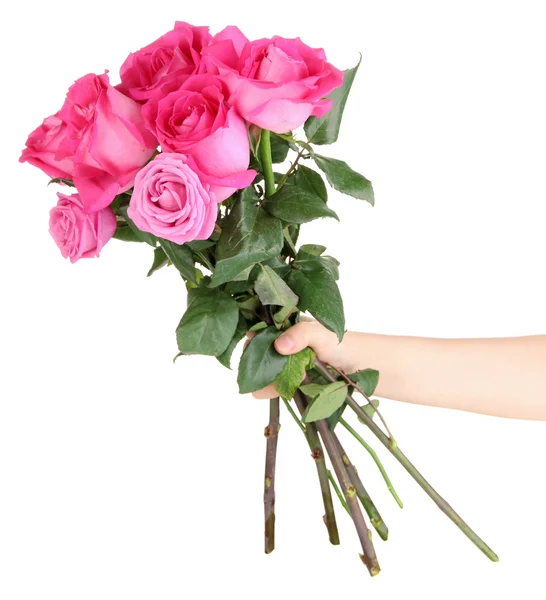 Krásné růžové růže v ruce izolovaných na bílém — Stock fotografie