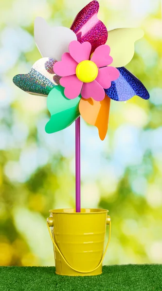 Colored pinwheel in pail on grass outdoor — Stock Photo, Image