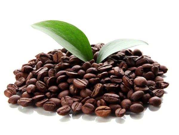 Coffee beans with leaves isolated on white — Stock Photo, Image