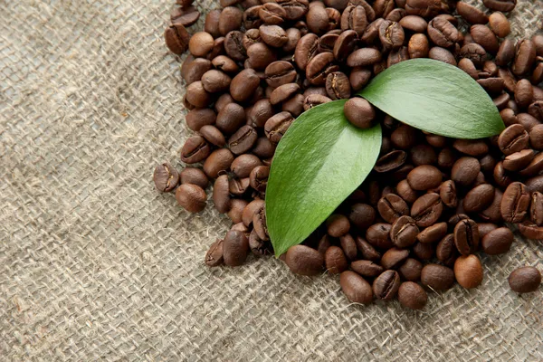 잎 자루 천을 배경으로 커피 콩 — 스톡 사진