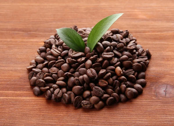 Coffee beans with leaves on wooden background — Stock Photo, Image