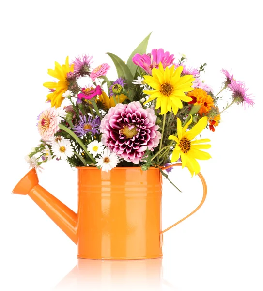 Belo buquê de flores brilhantes em regar pode isolado em branco — Fotografia de Stock