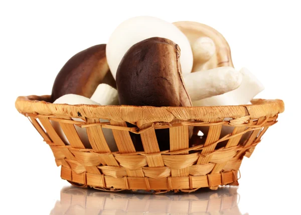 Fresh mushrooms in basket isolated on white — Stock Photo, Image