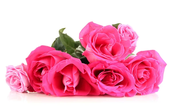 白で隔離される美しいピンクのバラはクローズ アップ — ストック写真