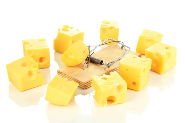 Mausefalle mit Käse isoliert auf weiß — Stockfoto