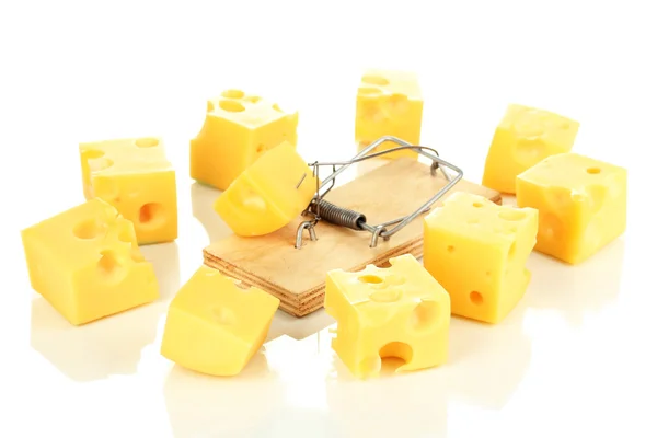 Mousetrap with cheese isolated on white — Stock Photo, Image