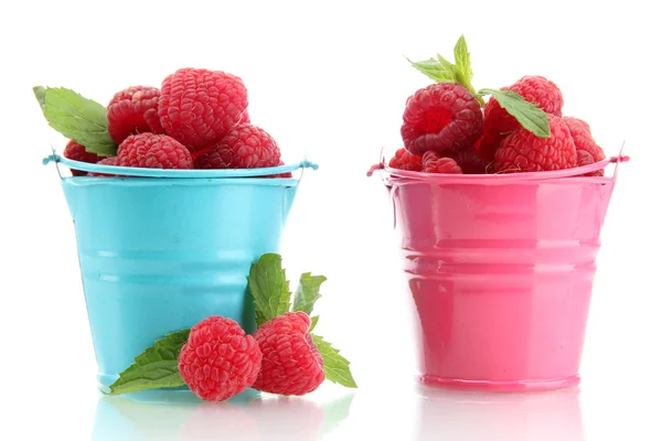 Beautiful raspberries in buckets isolated on white — Stock Photo, Image