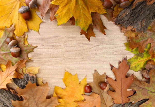 Brązowy żołędzie na jesień liści, na tle drewniane — Zdjęcie stockowe