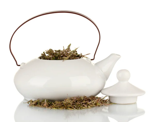 Сушеные травы в чайнике, изолированные на белом. Концептуальное фото травяного чая . — стоковое фото