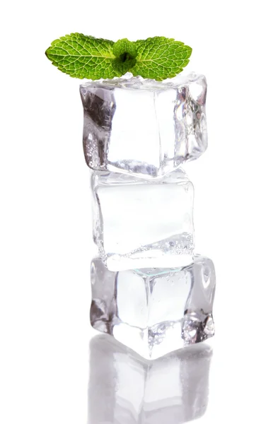 Hielo con menta aislada sobre blanco —  Fotos de Stock