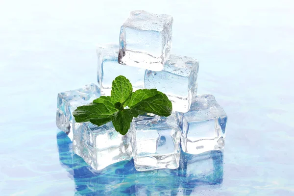 Ice with mint on light background — Stock Photo, Image