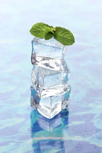 Ice with mint on light background — Stock Photo, Image