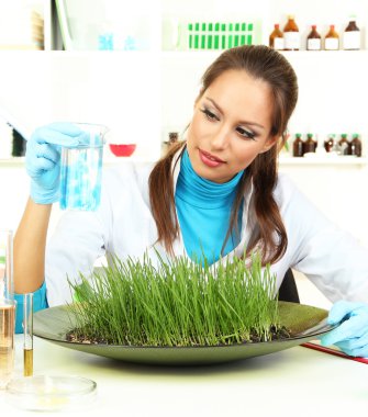 Genç kadın bilim laboratuvar bitkilerde ile deneyler yapıyor