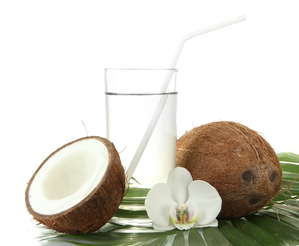 Cocos con vaso de leche, aislados sobre blanco —  Fotos de Stock