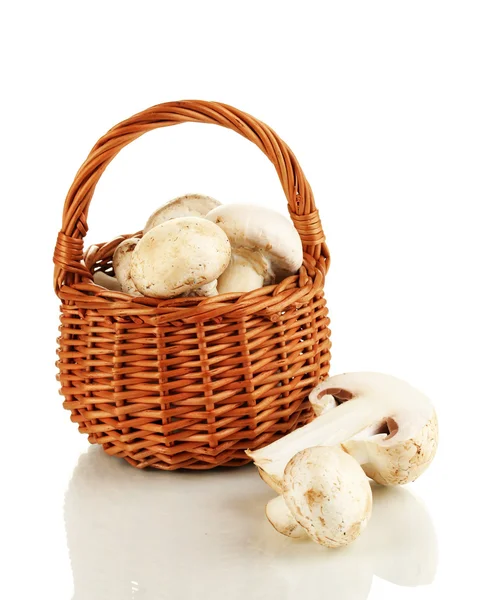 Champignons frais dans le panier isolé sur blanc — Photo