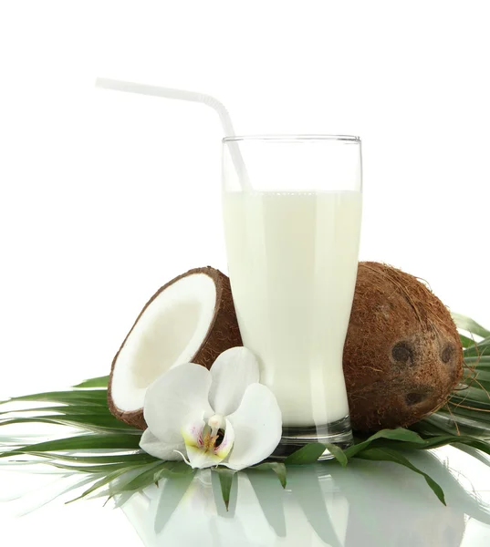 Coconuts with glass of milk, isolated on white — Stock Photo, Image