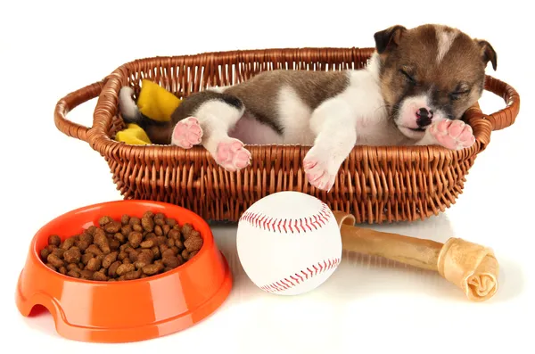 Beautiful little puppy sleeping in basket isolated on white — Stock Photo, Image