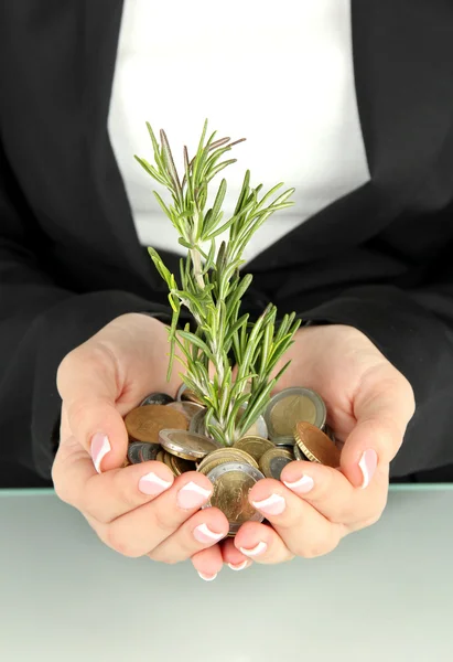 Mãos de mulher com planta verde e moedas isoladas em branco — Fotografia de Stock