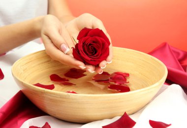 kadın eliyle su yaprakları kırmızı zemin üzerine ahşap kase