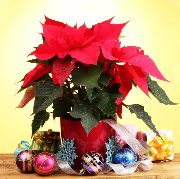 Bella poinsettia con palle di Natale e regali su tavolo di legno su sfondo giallo — Foto Stock