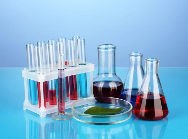 Test-tubes and green leaf tested in petri dish, on color background — Stock Photo, Image