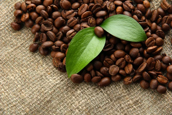Grãos de café com folhas no fundo saco-pano — Fotografia de Stock
