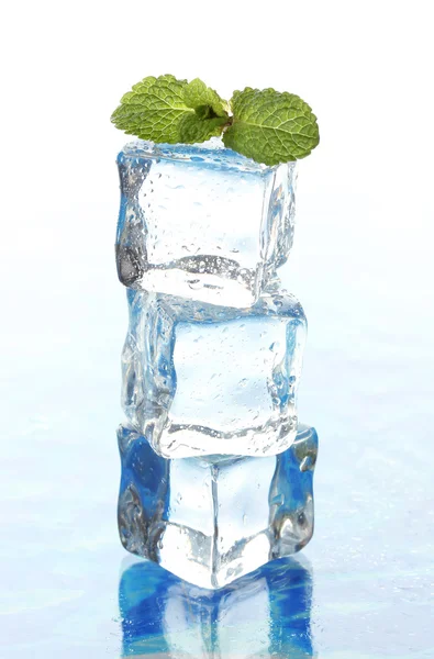 Ice with mint on light background — Stock Photo, Image