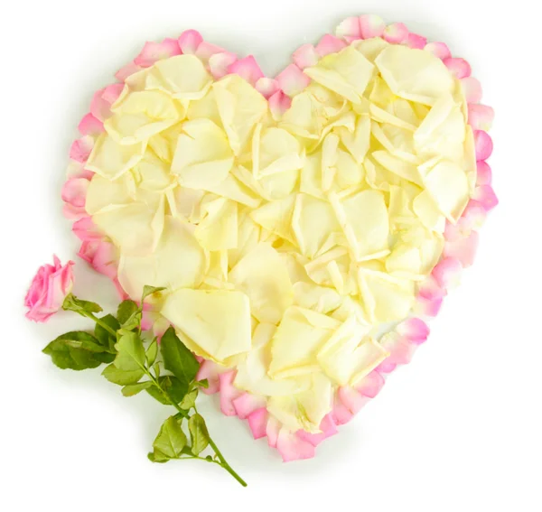 Ausgezeichnetes Herz aus weißen Rosenblättern, umgeben von rosa Blütenblättern, isoliert auf weiß — Stockfoto