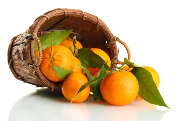 Mandarina dulce madura con hojas en cesta, aislada en blanco — Foto de Stock