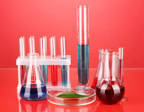 Test-tubes and green leaf tested in petri dish, on color background — Stock Photo, Image