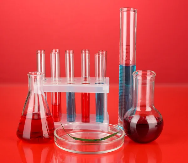 Test-tubes and green leaf tested in petri dish, on color background — Stock Photo, Image