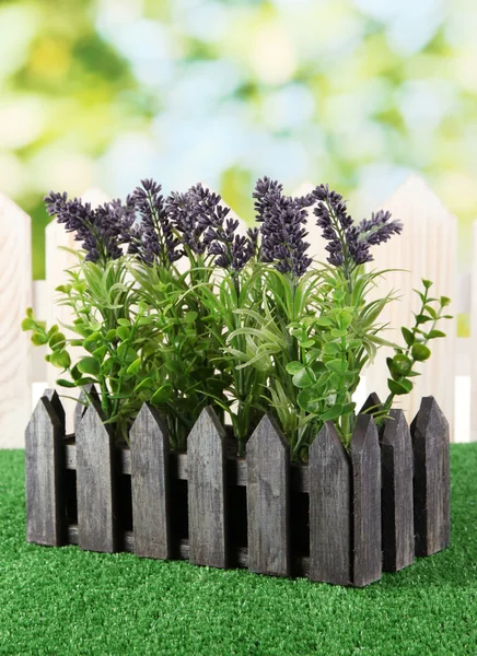 Lavanda decorativa en caja de madera sobre hierba sobre fondo natural — Foto de Stock