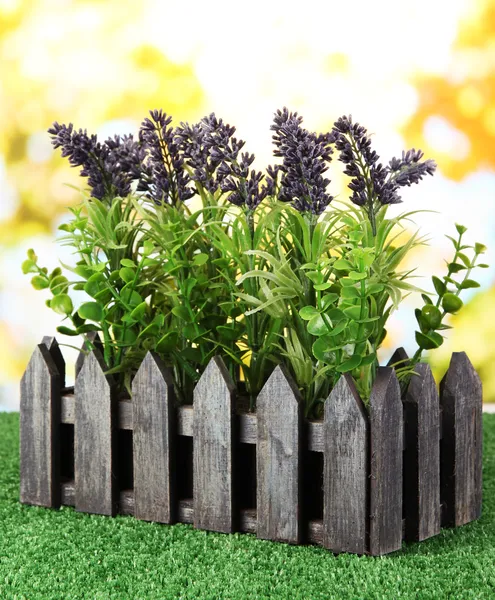 Lavanda decorativa en caja de madera sobre hierba sobre fondo natural —  Fotos de Stock