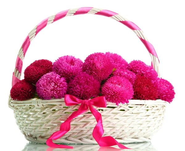 Kwiaty różowe aster w koszyku, na białym tle — Zdjęcie stockowe
