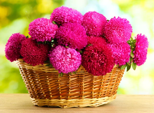 Pink aster flowers in basket on green background — Stock Photo, Image