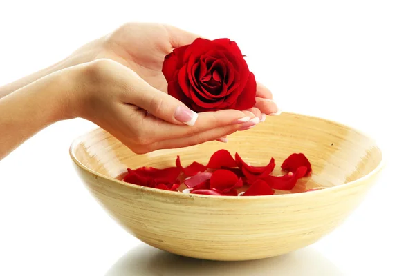Woman hands with wooden bowl of water with petals, isolated on white — Stock Photo, Image