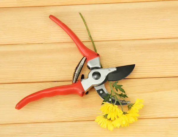Zahradnické nůžky s květem na dřevěné pozadí — Stock fotografie