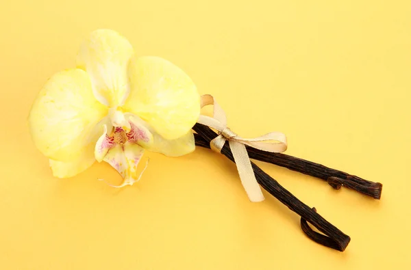 Vanilla pods with flower, on yellow background — Stock Photo, Image