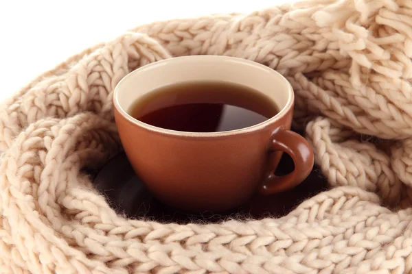 Taza de té con bufanda de cerca —  Fotos de Stock