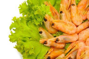 tabakta üzerine beyaz izole marul yaprakları ile haşlanmış karides