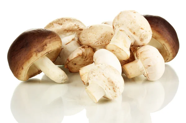 Čerstvé houby izolované na bílém — Stock fotografie