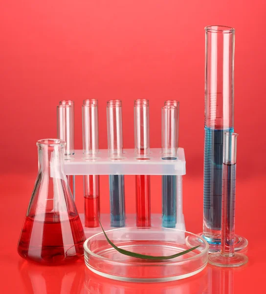 Test-tubes and green leaf tested in petri dish, on color background — Stock Photo, Image