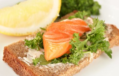 Somon Sandviç plaka, yakın çekim