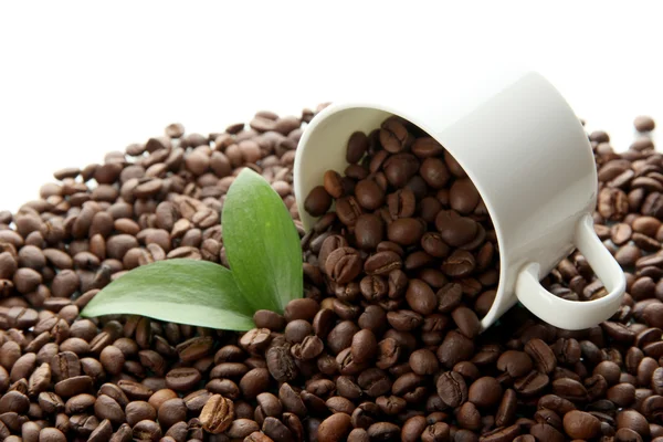 Chicchi di caffè con foglie isolate su bianco — Foto Stock