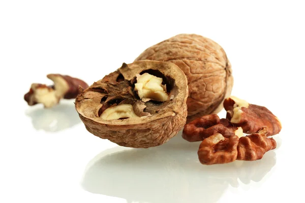 Nueces, aisladas sobre blanco — Foto de Stock