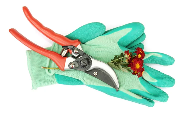 Secateurs with flower isolated on white — Stock Photo, Image