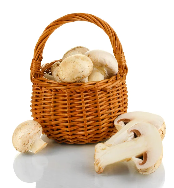 Verse champignons in mand geïsoleerd op wit — Stockfoto